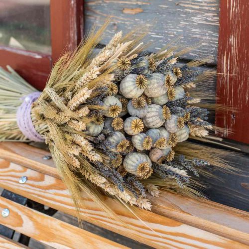 Floristik24 Torkade vallmofrökapslar naturliga torkade blommor knippe deco vallmo 90g