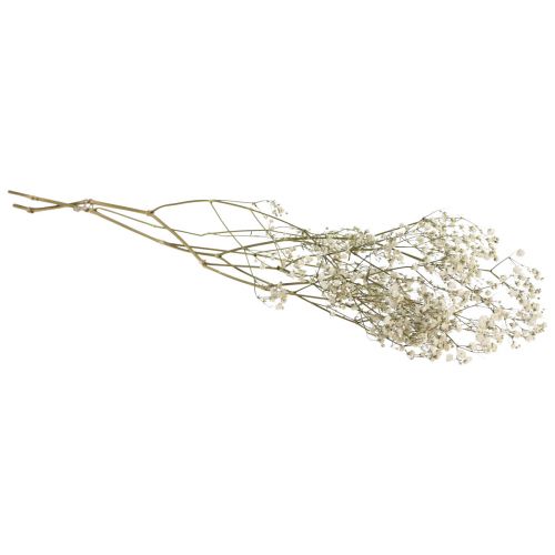 Floristik24 Torkade blommor Gypsophila Gypsophila Vit 58cm 7g