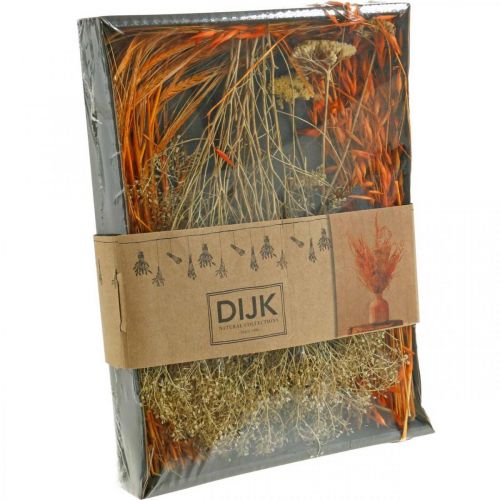 Floristik24 Torkade blommor Box Orange Torr blomsterhandel Set