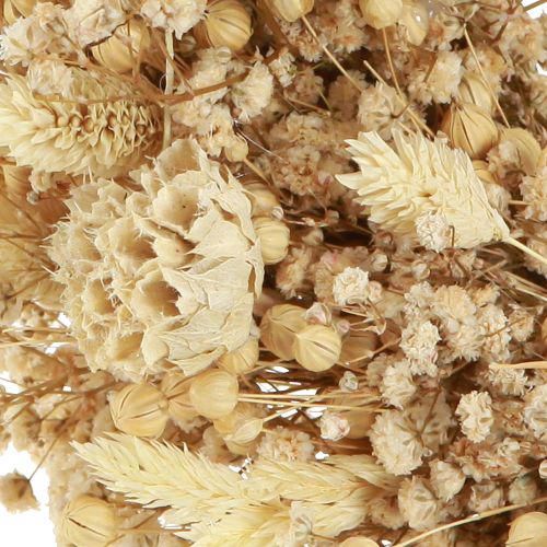 Artikel Torr blomkrans blekt dekorativ krans kräm Ø25cm