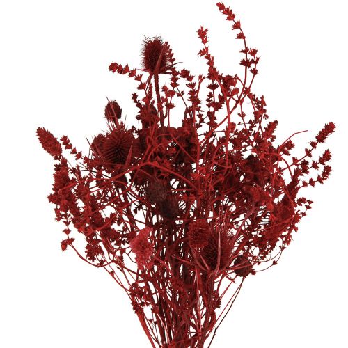 Floristik24 Torkad blombukett tistel dekoration i vinröd 40cm 80g