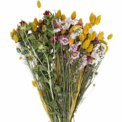 Artikel Gäng torkade blommor Gäng torkade blommor Ängsblommor bukett 58cm