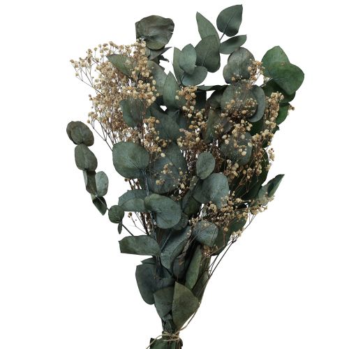 Floristik24 Torkad blombukett eucalyptus gypsophila konserverad 50cm grön