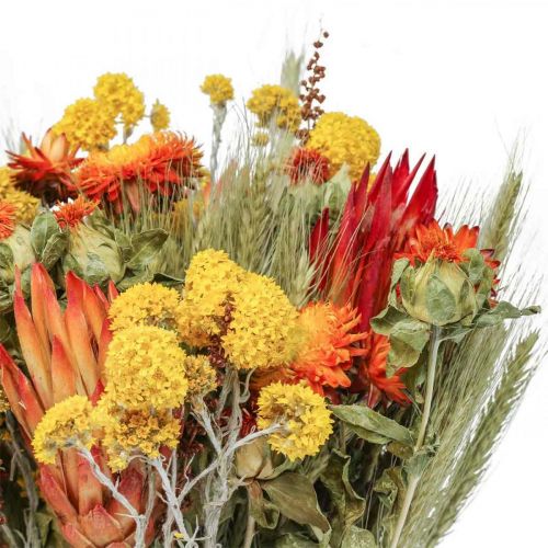 Floristik24 Torkad blombukett bukett ängsblommor apelsin H50cm 300g