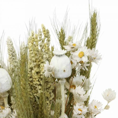 Floristik24 Bukett torkade blommor halm blommor korn vallmo kapsel torrt gräs 50cm