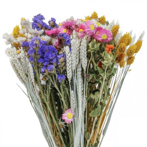 Floristik24 Torkad blombukett halmblommor strand lavendel Phalaris korn 55cm