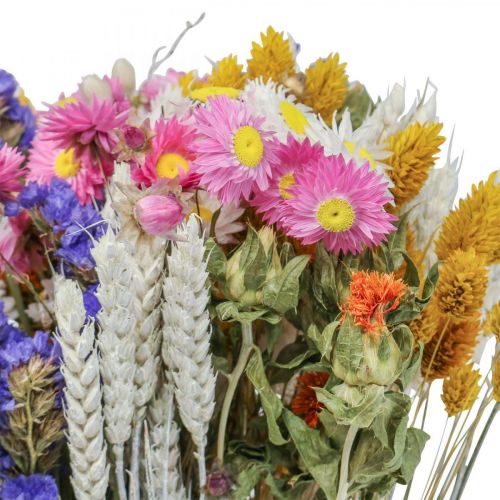 Floristik24 Torkad blombukett halmblommor strand lavendel Phalaris korn 55cm