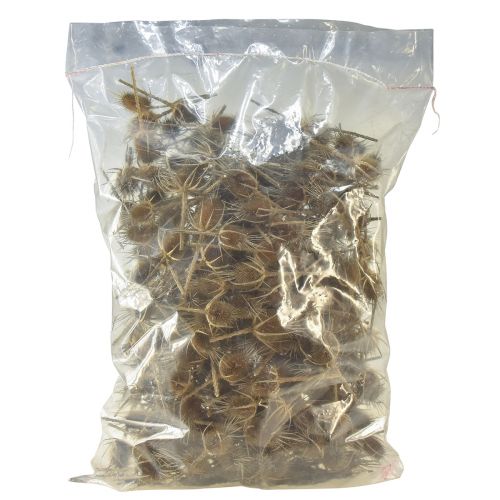 Artikel Torr dekoration kort tistel vild kardon natur 1kg