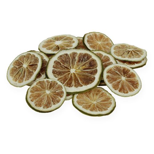 Floristik24 Limeskivor grön 500g limeskivor