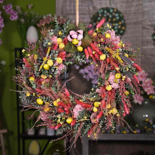 Artikel Torrt gräs långt rosa fjädergräs dekorativt Miscanthus 75cm 10 st