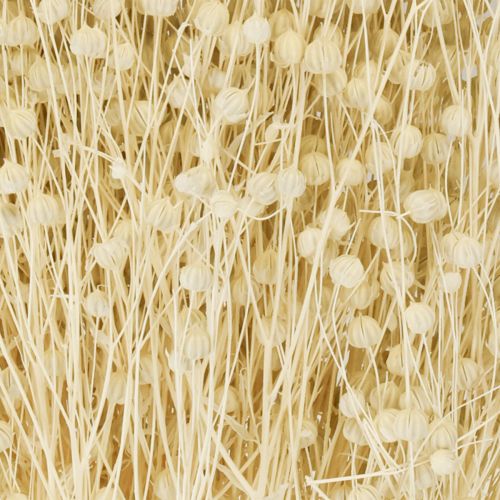Artikel Torkat gräslin torkat naturligt blekt 50-55 cm 180 g