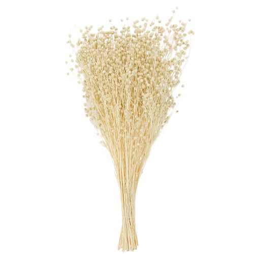 Artikel Torkat gräslin torkat naturligt blekt 50-55 cm 180 g