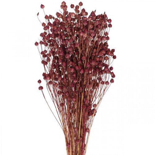 Artikel Torrt gräs Torkat lin Gammelrosa H50–55cm 80g