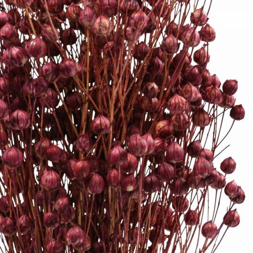 Artikel Torrt gräs Torkat lin Gammelrosa H50–55cm 80g
