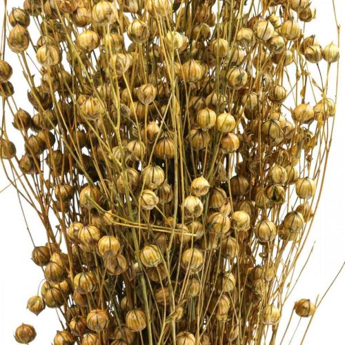 Artikel Torkat gräs Torkat lin Olivgrön H50–55cm 80g