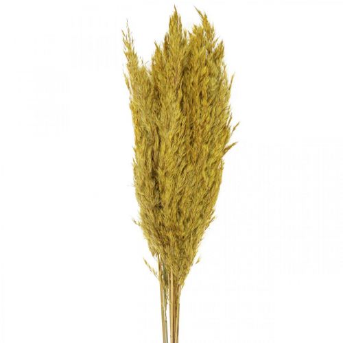 Artikel Torr grässtarr dekoration torkad gul 70cm 10 st