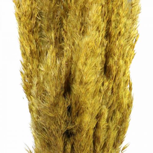 Artikel Torr grässtarr dekoration torkad gul 70cm 10 st