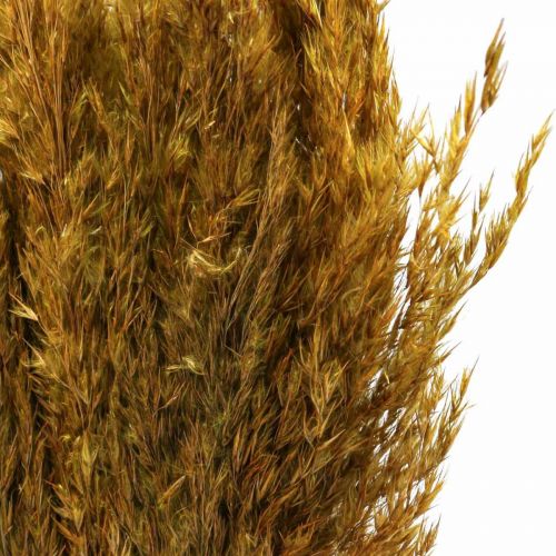 Artikel Torrgrässivtorkat olivgrönt dekorativt gräs 70cm 10 st