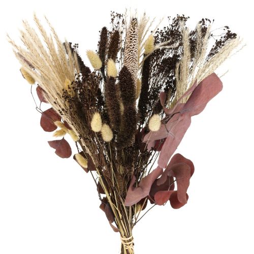 Floristik24 Torr bukett eukalyptus torr gräs bukett 60cm 120g
