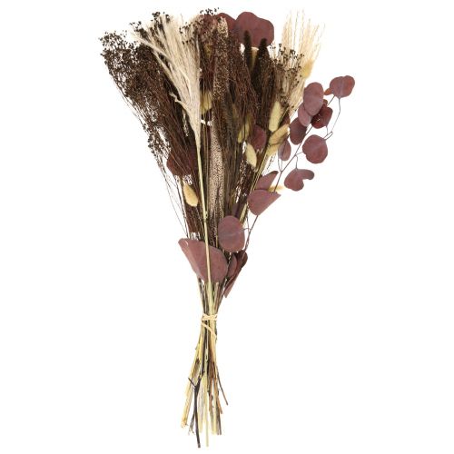 Floristik24 Torr bukett eukalyptus torr gräs bukett 60cm 120g