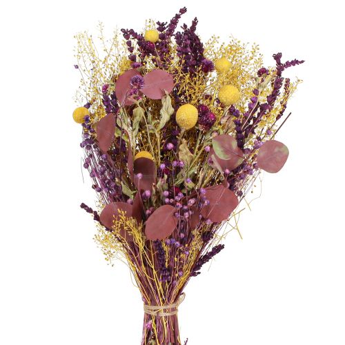 Floristik24 Torr bukett gul lila grön craspedia eucalyptus 53cm 150g