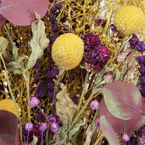 Artikel Torr bukett gul lila grön craspedia eucalyptus 53cm 150g
