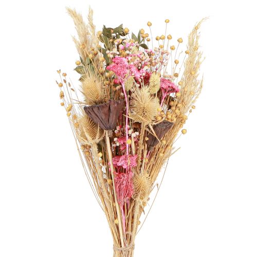 Floristik24 Torr bukett lotus lin tistel rosa kräm 50cm 100g
