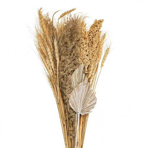 Floristik24 Torr bukett av torrt gräs knippe korn natur, vit 74cm