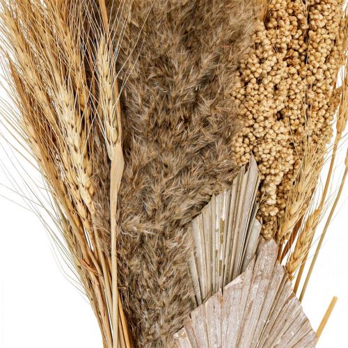 Floristik24 Torr bukett av torrt gräs knippe korn natur, vit 74cm