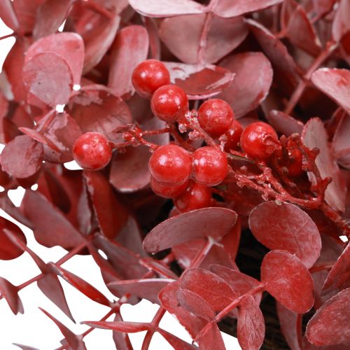 Floristik24 Dörrkrans eukalyptus eukalyptus krans konstgjord röd Ø40cm