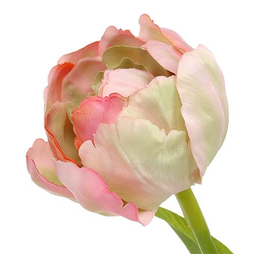 Floristik24 Tulpanrosa, grön 37cm 6st
