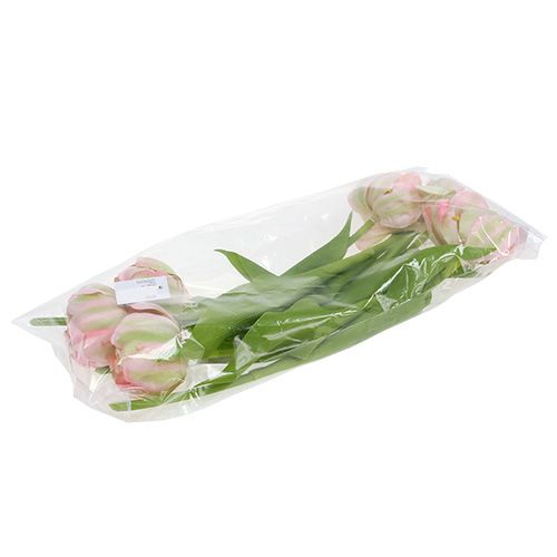 Floristik24 Tulpanrosa, grön 37cm 6st