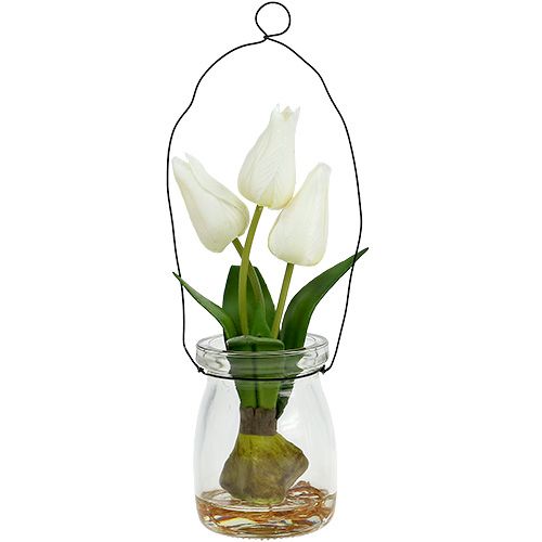 Floristik24 Tulpan vit i ett glas H21cm 1p