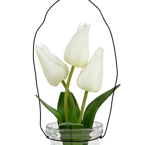 Floristik24 Tulpan vit i ett glas H21cm 1p