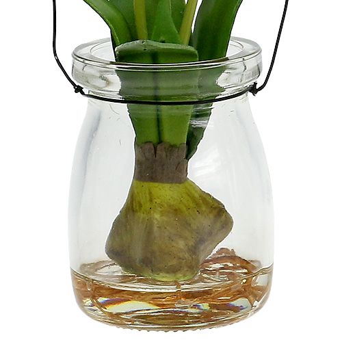 Floristik24 Tulpan vit i ett glas H21cm 1p