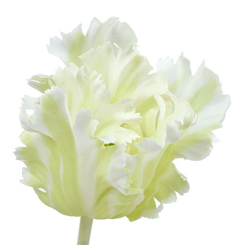 Floristik24 Tulpan konstgjord vit 70cm