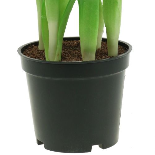 Artikel Konstgjorda blommor i kruka Konstgjorda tulpaner Rosa Gul 22,5cm
