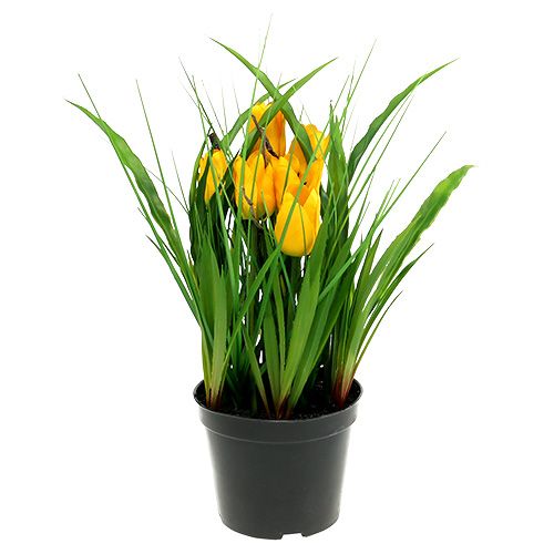 Floristik24 Tulpaner i gul kruka 30cm