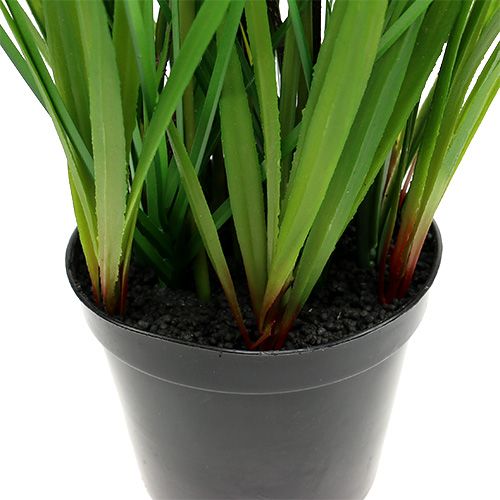 Floristik24 Tulpaner i gul kruka 30cm