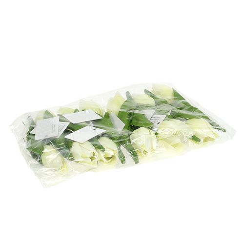 Floristik24 Vårdekoration, konstgjorda tulpaner, sidenblommor, dekorativa tulpaner grön/grädde 12 st.