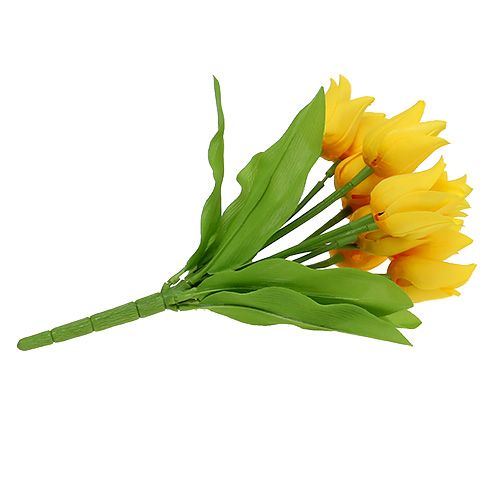 Floristik24 Tulpanbuske Gul H30cm
