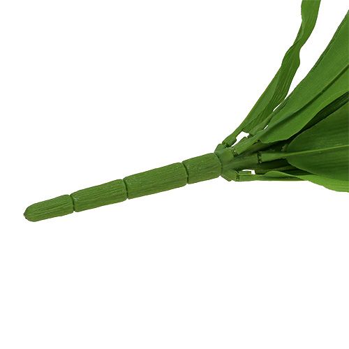 Floristik24 Tulpanbuske vit 30cm