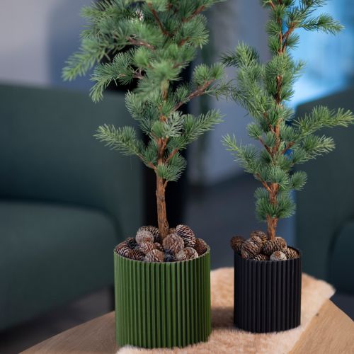 Pappersblomkruka mörkgrön Ø13cm H12cm 4 st