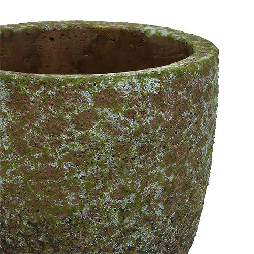 Floristik24 Täckt mossig grå, grön Ø14cm H14cm 2st