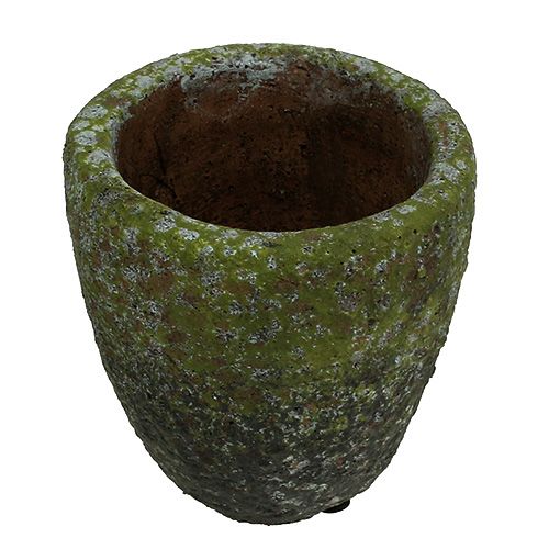 Floristik24 Planter med mossa Ø10cm H10,5cm 4st