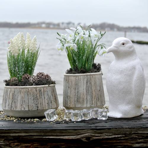 Floristik24 Planter vas betong trä design Ø15cm