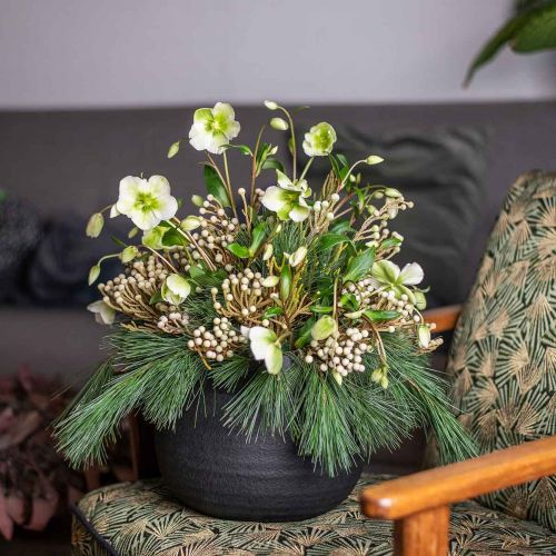 Artikel Planteringskruka Svart Keramik Blomkruka Ø23cm H19,5cm