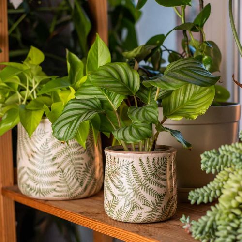Floristik24 Planterkar lergods ormbunkskruka keramik Ø15/10,5 cm set om 2