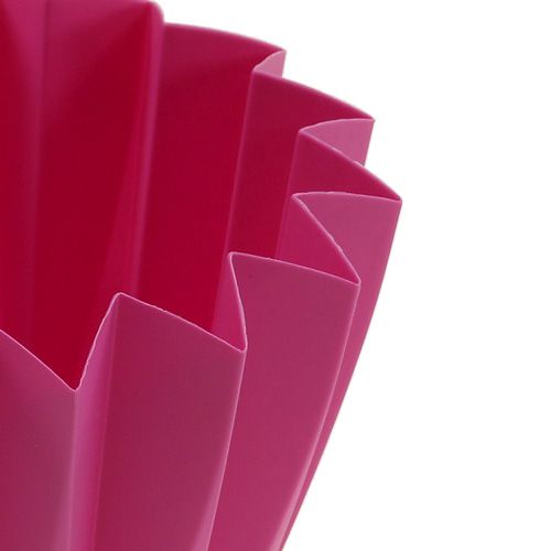 Floristik24 Repot Adonis Azalea 14cm 20 st