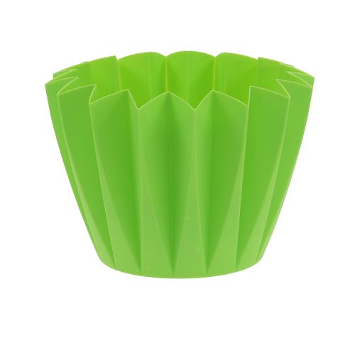 Floristik24 Kruka Adonis Grön 14cm 20 st